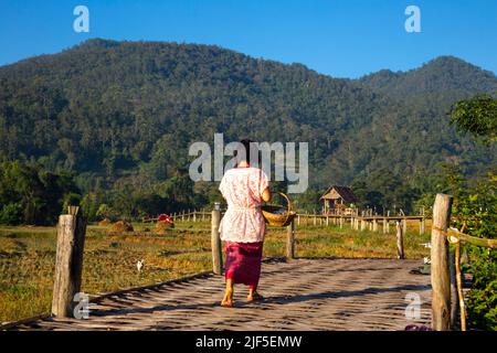 Atemberaubende Landschaft der berühmten Boon Ko Ku so (Kho-Ku-so) Bambusbrücke. Tourist zu Fuß über das Reisfeld Stockfoto