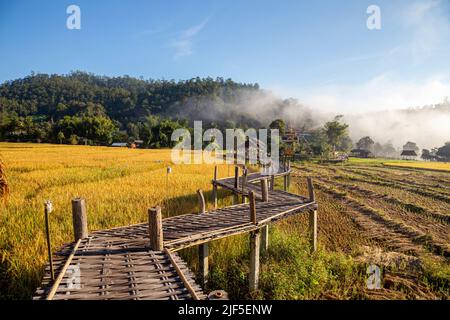 Die wunderschöne Boon Kho Ku so Bridge mit Morgenlicht befindet sich im Dorf Pam Bok, im Unterbezirk Thung Yao, im Bezirk Pai, Provinz Mae Hong Son. Stockfoto