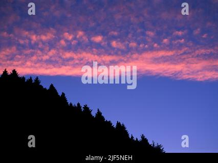 Flathead National Forest, Montana, USA Stockfoto