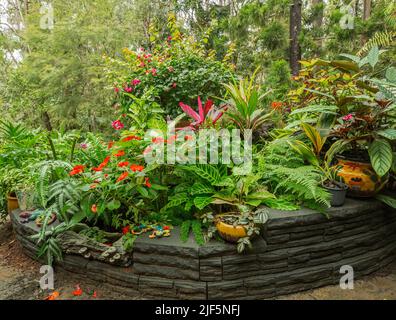 Farbenfroher Garten mit einer Vielzahl von üppigen Farnen, Fooliage und blühenden Pflanzen, die alle in Behältern wachsen, die von dekorativen niedrigen Wänden, Australien, verdeckt werden Stockfoto