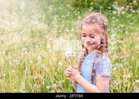 Niedliches Mädchen mit einem Strauß weißer Andelionen und fliegenden Samen gegen ein verschwommenes Feld von Andelionen. Stockfoto