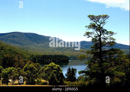 Der Maroondah-Staudamm liegt am Watts River in der Nähe von Healesville und ist der Wasserspeicher für den Bezirk. Es gibt einen falschen Glauben, dass sich der Damm auf der Yarra befindet. Stockfoto