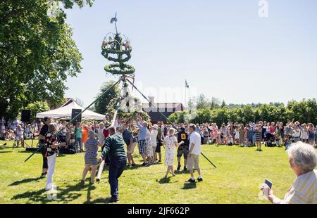 Eine Gruppe von Menschen, die den Hochsommerpol bei der öffentlichen Feier des Hochsommerfestes errichten. Stockfoto