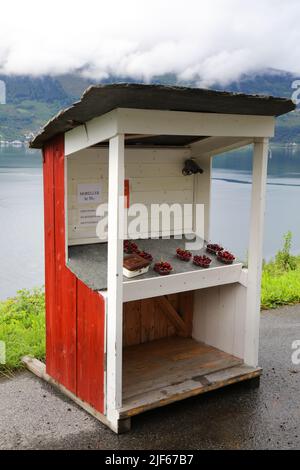 Selbstbedienungsstand für Kirschfrüchte. Frische Kirschen direkt vom Bauernhof in Odda, Norwegen. Stockfoto