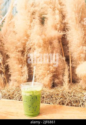 Grüner Tee Milch im Café schmücken mit trockenem Gras Blume Stockfoto