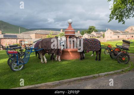 Zigeuner und das Pferd und die Fallen auf der Appleby Horse Fair, die das Dorf Dufton in der Nähe von Appleby-in-Westmorland, Cumbria besucht Stockfoto