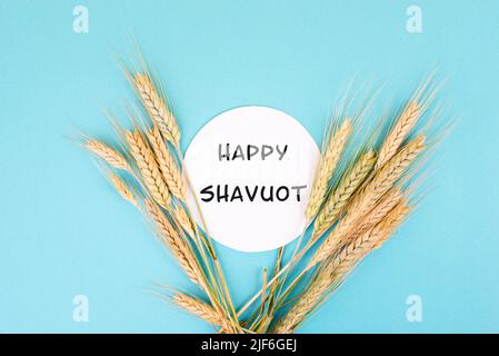 Weizenernte auf blauem Hintergrund, glücklicher shavuot steht in der Mitte, jüdischer Feiertag, Lebensmittelernte im Sommer, goldenes Stroh Stockfoto