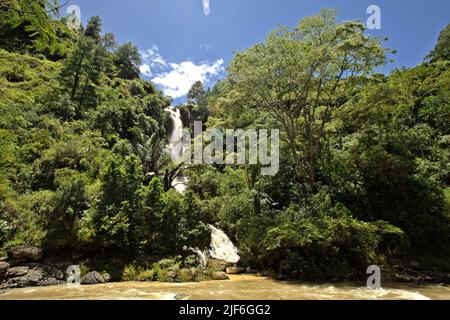 Ein Wasserfall namens Bambalu, dessen Wasser auf den Bambalu-Fluss in Bambalu, Kurra, Tana Toraja, Süd-Sulawesi, Indonesien fällt. Stockfoto