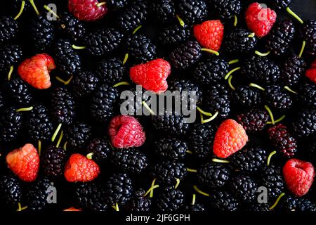 Maulbeere und Himbeere auf schwarzem Hintergrund Stockfoto