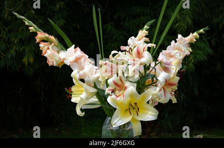 Bouquet de lys Lavon, conca d'Or et glaïeuls Cream Perfection (jardin du ruisseau de l'église 2022) Stockfoto