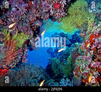 Tauchen in einer Höhle auf Kuredu Island auf den Malediven. Stockfoto