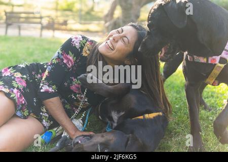 Aufgeregte Besitzerin lacht mit geschlossenen Augen, während sie sich auf dem Rasen ausruht und mit schwarzen Labrador Retriever Hunden am sonnigen Sommertag im Park spielt Stockfoto