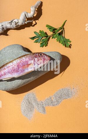 Draufsicht auf rote mullus-Barbatus-Fische, die auf Felsen in der Nähe von trockenen Stäben und Sand auf orangefarbenem Hintergrund platziert sind Stockfoto