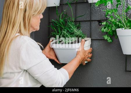 Rückansicht des weiblichen hängenden weißen Blumentopfes mit grüner Pflanze an der grauen Wand mit verschiedenen Blumen im hellen Raum Stockfoto