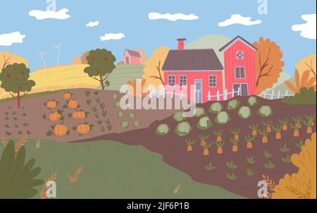 Herbstliche Farmlandschaft. Feldfrüchte, Erntezeit in der Natur Stock Vektor