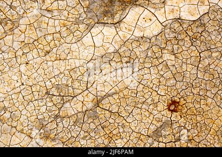 Luftaufnahme voller Rahmen von abstraktem Hintergrund mit Rissen auf der Oberfläche mit getrockneter Textur Stockfoto