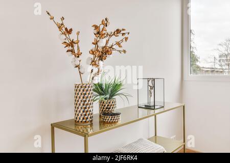 Vasen mit getrockneten Baumwollblumen und grünen Topfpflanzen, die in einem hellen Raum in der Nähe von weißen Wänden und Fenstern auf einem Regal platziert sind Stockfoto