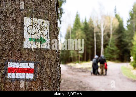 Gemalte Wegmarkierung auf einem Baum im Wald entlang des Wander- und Mountainbike-Pfades. Trail lodernd auf einem touristischen Pfad in den Bergen Stockfoto