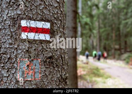 Rotes Wanderwegenschild auf Baum im Wald gemalt. Touristen wandern im Hintergrund. Trail lodernd auf einem touristischen Pfad in den Bergen Stockfoto