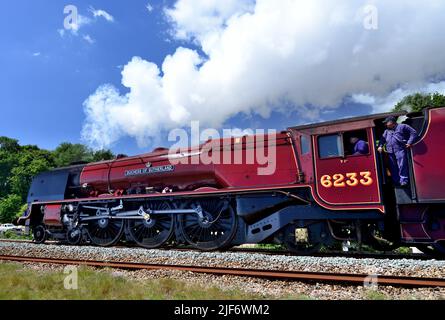 LMS Pacific No 6233 Duchess of Sutherland passiert Dawlish Warren mit der South Devon Explorer Railtour am 28.. Mai 2022. Stockfoto