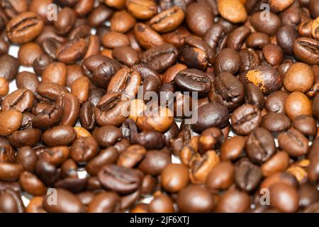Kaffeebohne Stillleben Bild, frische Kaffeebohne isoliert in weißem Hintergrund. Beste Kaffeebohne für besten Kaffee. Stockfoto