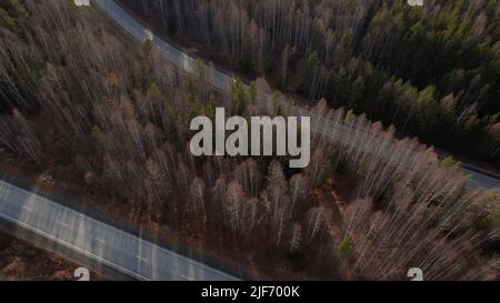 Kurve der Autobahn-Straße zwischen tiefen Wald in Ural, Russland. Schöne herbstliche Naturlandschaft bei tagsüber. Luftaufnahme von einer Drohne Stockfoto