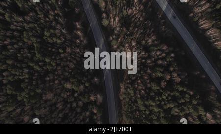 Kurve der Autobahn-Straße zwischen tiefen Wald in Ural, Russland. Schöne herbstliche Naturlandschaft bei tagsüber. Luftaufnahme von einer Drohne Stockfoto