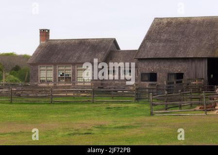 Holzgebäude auf einer Alpaka-Farm auf dem weingut marthas an einem bewölkten Sommertag in Massachusetts. Stockfoto