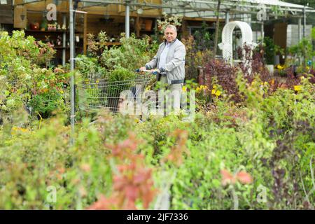 Kaukasischer Mann, der Sprossen im Gartencenter auswählt Stockfoto