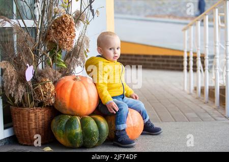 Ein kleiner Junge sitzt auf großen Kürbissen, die an den Türen des Cafés liegen. Stockfoto