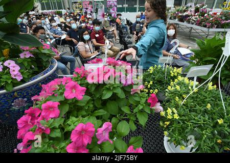 Singapur. 30.. Juni 2022. Teilnehmer aus der regionalen Gartenbauindustrie nehmen am 30. Juni 2022 an einem Blumentestversuch von Singapore's Gardens by the Bay in Singapur Teil. Gardens by the Bay führte am Donnerstag einen Blumentestversuch durch, um regionalen Gartenbauern neue, für die Pflanzung in Südostasien geeignete Blumenzüchter vorzustellen. Quelle: Then Chih Wey/Xinhua/Alamy Live News Stockfoto