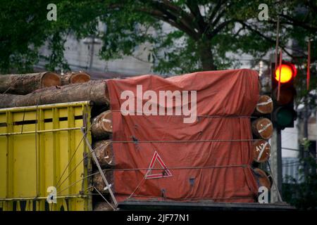 Rückansicht LKW beladenes Holz Stockfoto