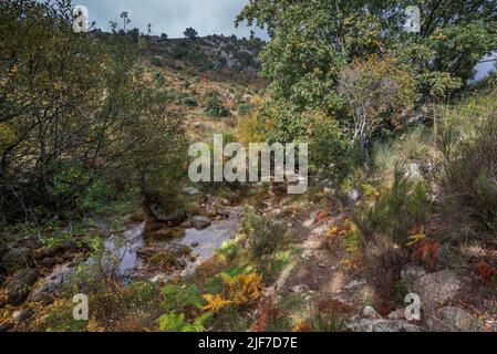 Blick auf den Bach Mediano, im Tal Hueco de San Blas, ein sehr beliebter Ort für Wanderer in der Gemeinde Manzanares el Real, bietet Stockfoto