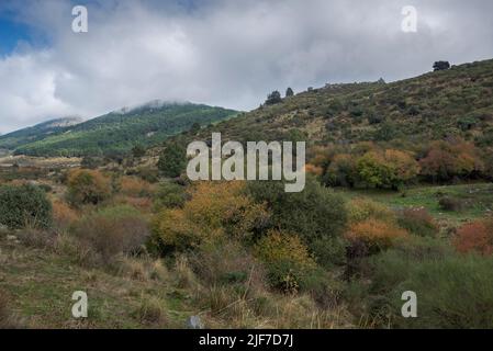 Blick auf den Bach Mediano, im Tal Hueco de San Blas, ein sehr beliebter Ort für Wanderer in der Gemeinde Manzanares el Real, bietet Stockfoto