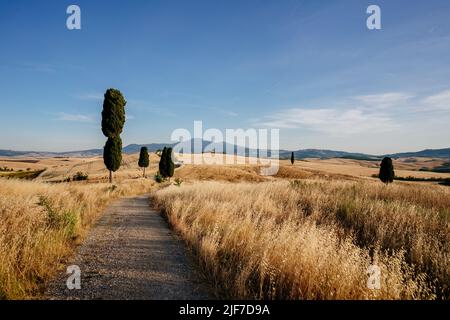 Toskana, Sommerlandschaft, goldene Felder. Italien Stockfoto