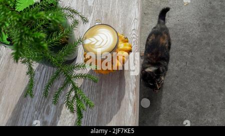Cappuccino in einer Tasse in der Nähe der Katze Stockfoto