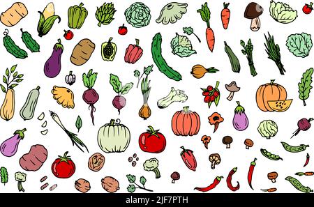 Leckeres Gemüse. Gartenfrüchte. Essbare Lebensmittelpflanzen. Nahtloses Muster. Handgezeichnete Umrisse. Isoliert auf weißem Hintergrund. Vektor Stock Vektor