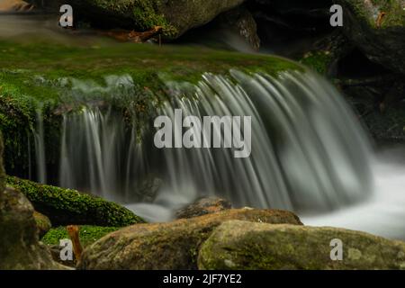 Plomnica Bach in der Nähe von Karpacz Stadt im Frühjahr bald frischen Morgen Stockfoto