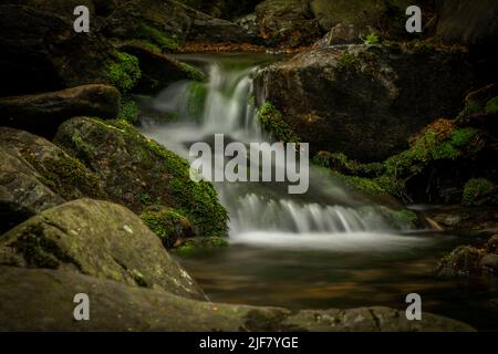 Plomnica Bach in der Nähe von Karpacz Stadt im Frühjahr bald frischen Morgen Stockfoto