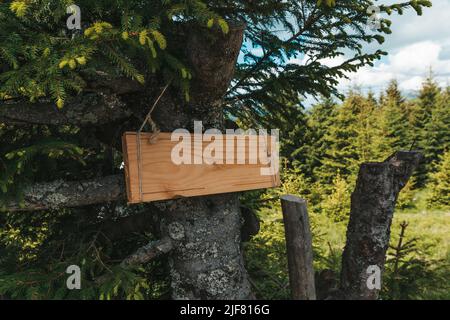 Altes Holzschild. Rustikaler hölzerner Wegweiser gegen den blauen Himmel. Leere Schilder in der NaturRustikale hölzerne Spurzeiger gegen blauen Himmel. Stockfoto