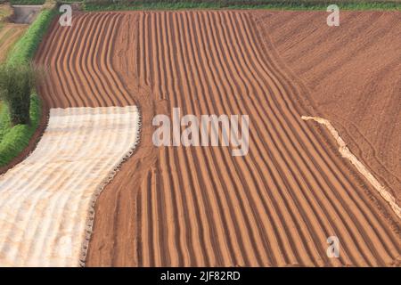 Devon Felder bereit für die Pflanzung von Gemüsepflanzen Stockfoto