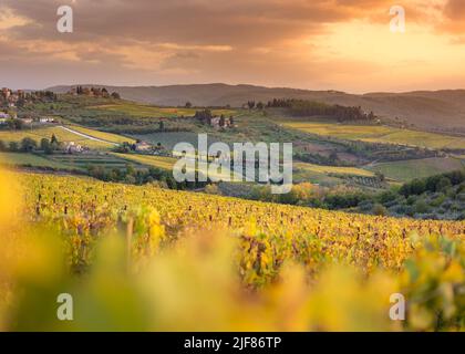 Panzano in Chianti Weinberg und Panorama bei Sonnenuntergang im Herbst. Toskana, Italien Europa. Stockfoto