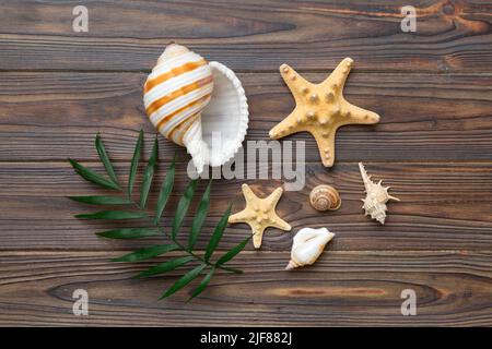 Summer Time Concept flache Lay-Komposition mit schönen Seesternen und Muscheln auf farbigem Tisch, Draufsicht. Stockfoto