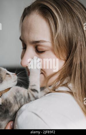 Katzenadoption, adoptieren Kätzchen aus Rettungen und Unterkünften. Porträt einer Frau, die mit ausgezüchteten, adoptierten grauen Kätzchen spielt Stockfoto