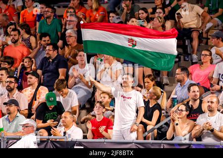 BUDAPEST, UNGARN - 30. JUNI: Fans Ungarns während der FINA World Championships Budapest 2022 Halbfinalspiel Ungarn gegen Niederlande am 30. Juni 2022 in Budapest, Ungarn (Foto: Albert ten Hove/Orange Picts) KNZB Stockfoto