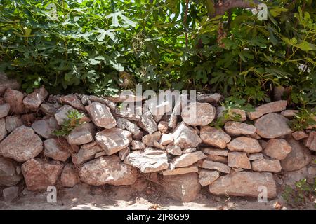 Ein alter Dorfzaun aus Steinmauer. Die Steinmauer wurde aus Steinen übereinander gebaut. Und Bäume Stockfoto