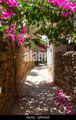 Datca, Mugla, Türkei - Juni 2022: Alte Datca Street view. Steinmauern und Bougainvillaea Blumen. Stockfoto