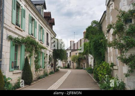 Foto von Angles sur Anglin Frankreich und die Straße Stockfoto