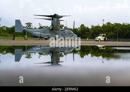 15. Juni 2022 - Carolina, Puerto Rico - ein MV-22B Fischadler, der Marine Medium Tiltrotor Squadron (VMM) 266 zugewiesen wurde, wird während der französisch-karibischen Übung Caraibes 22 auf der Muniz Air National Guard Base, Carolina, Puerto Rico, 15. Juni 2022 über den Flugplatz geschleppt. Caraibes 22 ist eine von Frankreich geleitete, groß angelegte, gemeinsame Trainingsübung in der Karibik, bei der Marine-, Luft- und Landgüter von französischen, US-amerikanischen und regionalen Kräften eingesetzt werden, die sich auf die Reaktion auf simulierte Naturkatastrophen konzentrieren. Während der Übung war der 156. Wing der Hauptverkehrsknotenpunkt zur Unterstützung von VMM-266, indem er Treibstoff und Flugzeugmarschall zur Verfügung stellte Stockfoto