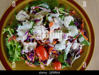 Pute-, Preiselbeere- und Walnusssalat mit Dressing im Ranchstil Stockfoto